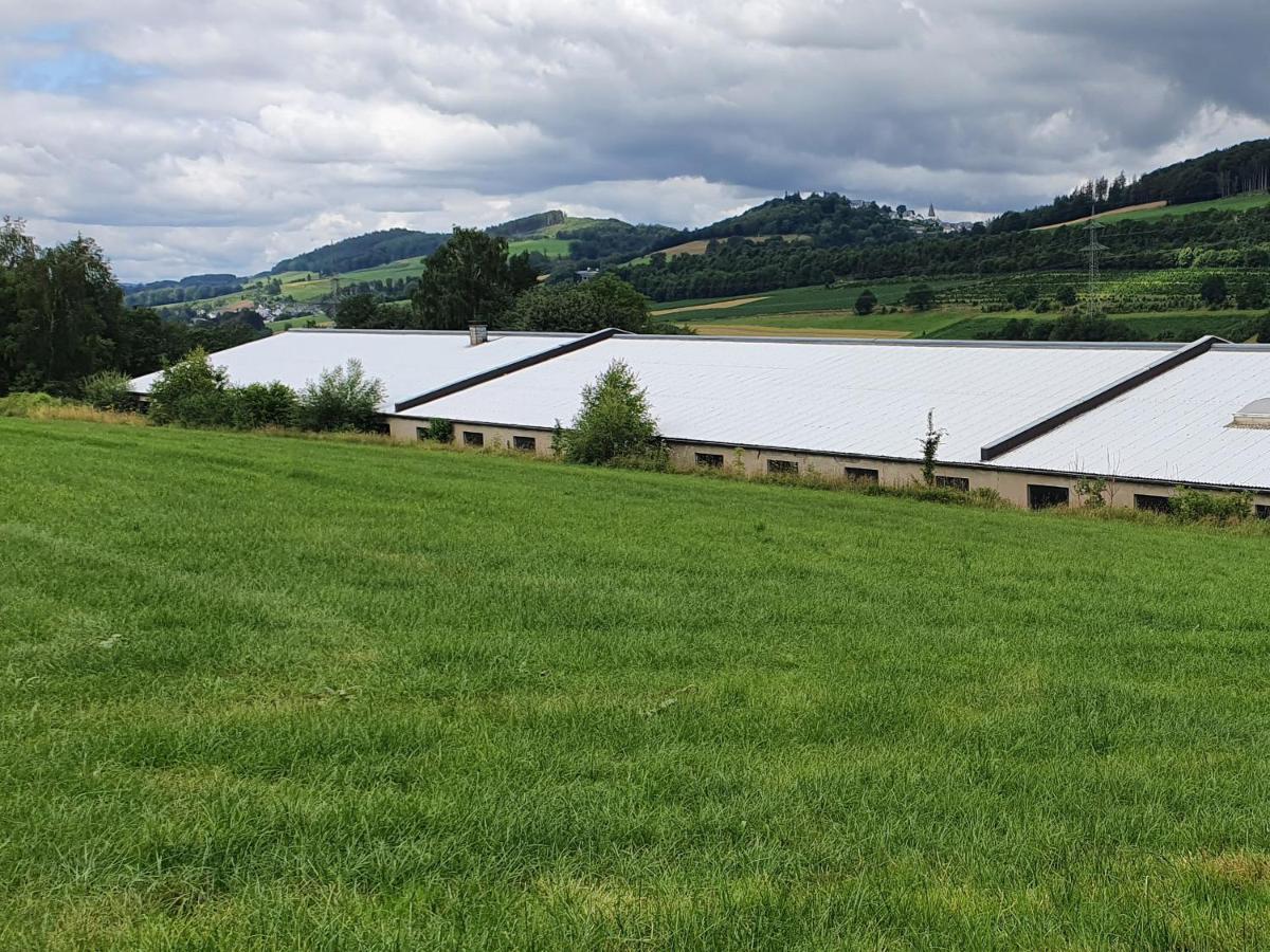 Ferienwohnungen Am Finkenweg 贝斯特维格 外观 照片