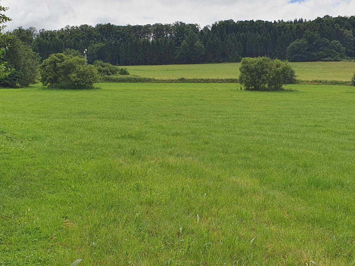 Ferienwohnungen Am Finkenweg 贝斯特维格 外观 照片