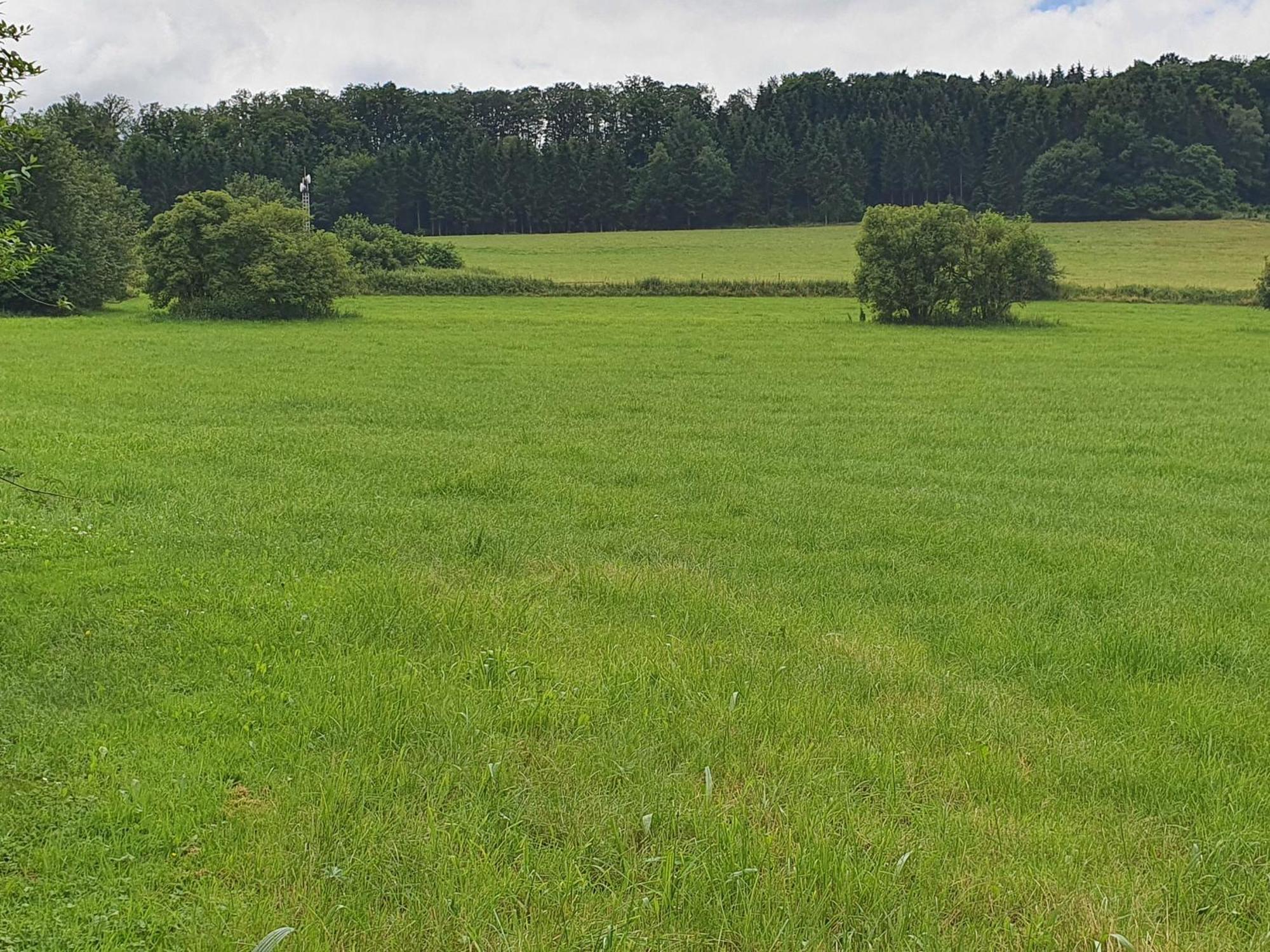 Ferienwohnungen Am Finkenweg 贝斯特维格 外观 照片