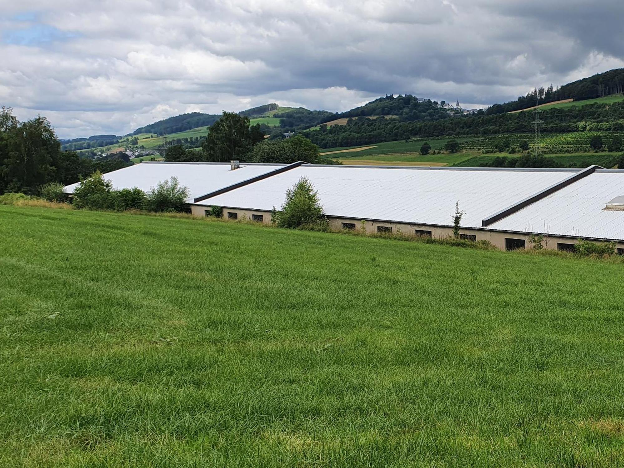 Ferienwohnungen Am Finkenweg 贝斯特维格 外观 照片